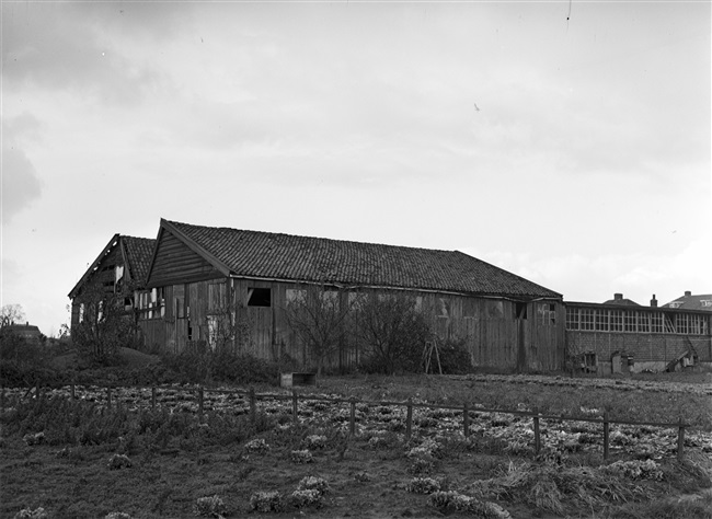 Loodsen van J.J. Gijzenij & Co op Waardeiland, Leiden 1954