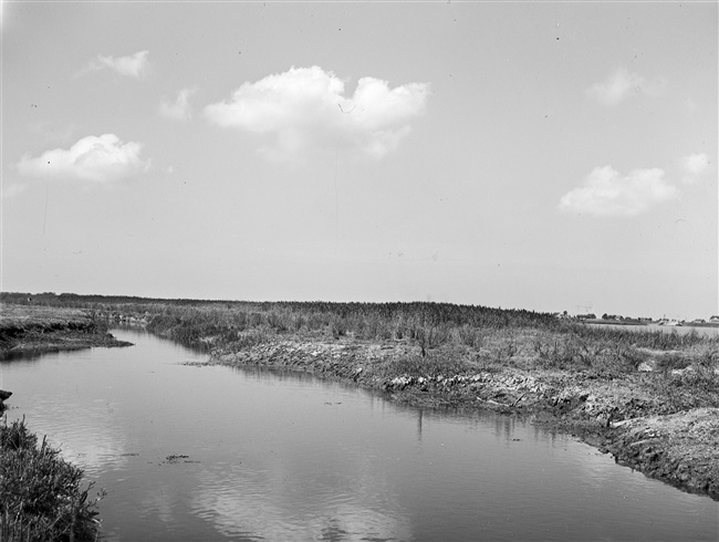 Het gebied langs de Brielse Maas, beter bekend als het Brielse Meer. In 1950 werd de rivier afgedamd. Dit hield de verzilting tegen. Bij verzilting komt er steeds meer zout in de grond en in het water.