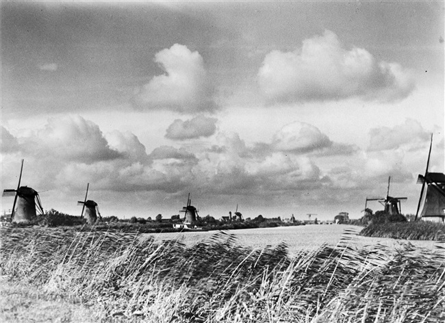 De molens van Kinderdijk in de polders van de Alblasserwaard.