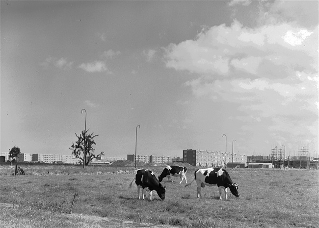 De voorstad groeit op de grens Wateringen-Den Haag.