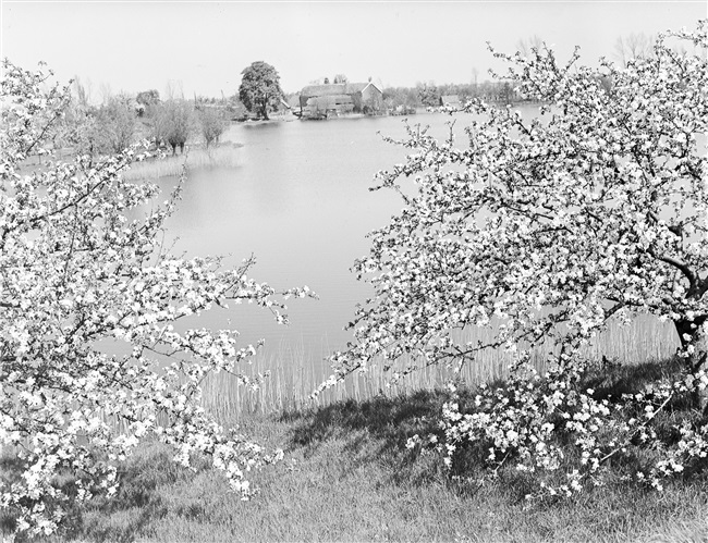 De plas Kruithof bij de Diefdijk