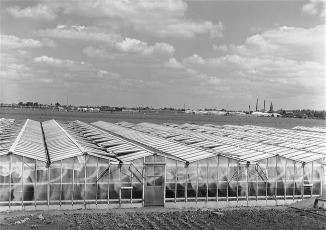 Kassengebied in de omgeving van Berkel en Rodenrijs, Bergschenhoek