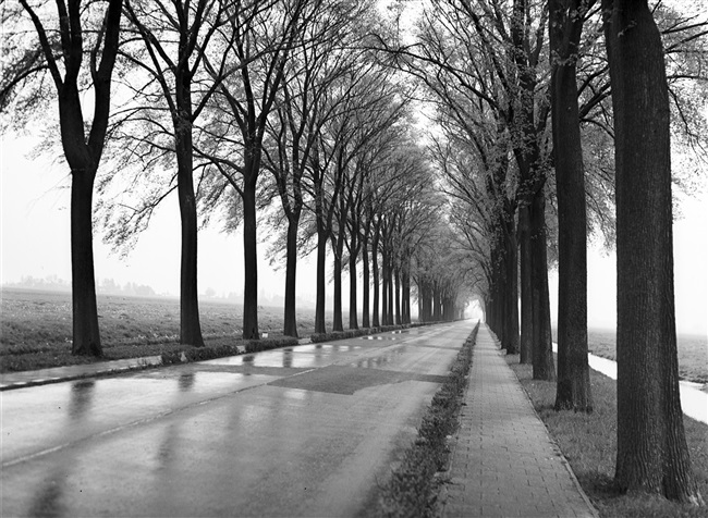 De Herenweg (huidige N207) richting Alphen aan den Rijn