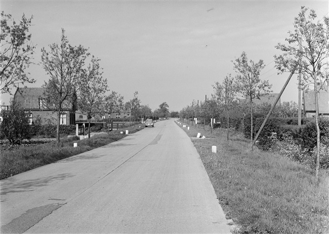 De Boomweg, provinciale weg tussen Rockanje en Oostvoorne.