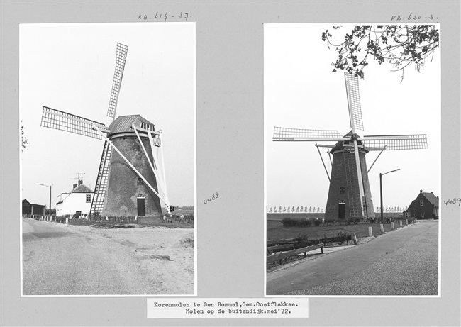 Molen De Bommelaer aan de Molendijk in Den Bommel, 1972