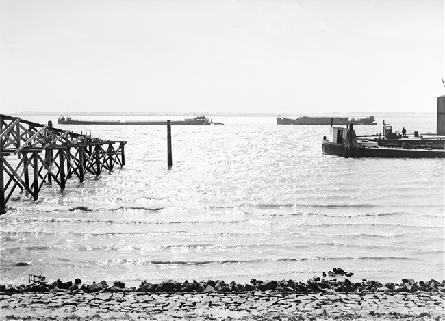 Aanvoer van zand voor dijkbouw op Goeree-Overflakkee, 1953
