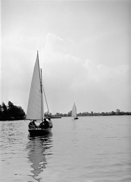 De Reeuwijkse Plassen