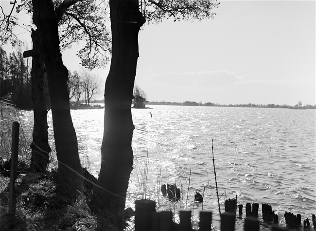 De Reeuwijkse Plassen