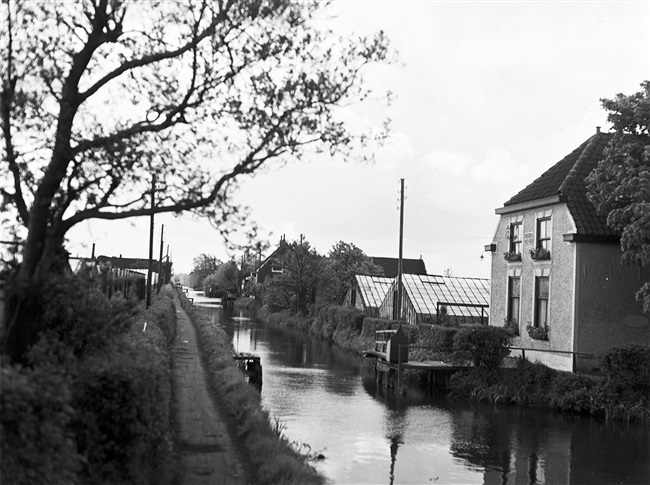 Kassengebied in de omgeving van Poeldijk