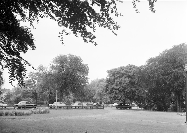 Park van Haagsche Dierentuin in Den Haag, 1958