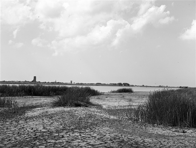 Het gebied langs de Brielse Maas, beter bekend als het Brielse Meer. In 1950 werd de rivier afgedamd. Dit hield de verzilting tegen. Bij verzilting komt er steeds meer zout in de grond en in het water.