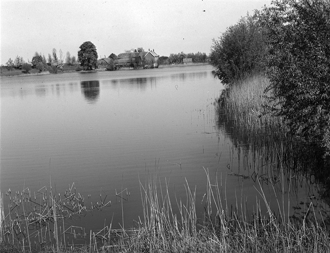 De plas Kruithof bij de Diefdijk