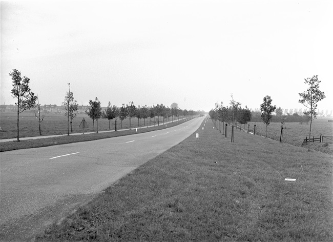 Provinciale weg nr. 7 (omlegging Alphen)