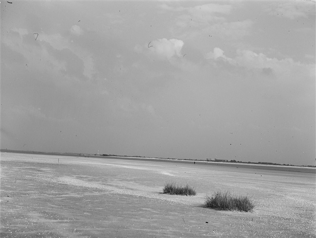 Het gebied langs de Brielse Maas, beter bekend als het Brielse Meer. In 1950 werd de rivier afgedamd. Dit hield de verzilting tegen. Bij verzilting komt er steeds meer zout in de grond en in het water.