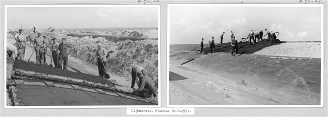 Dijkwerkers bekleden een dijk met zandasfalt, 1953