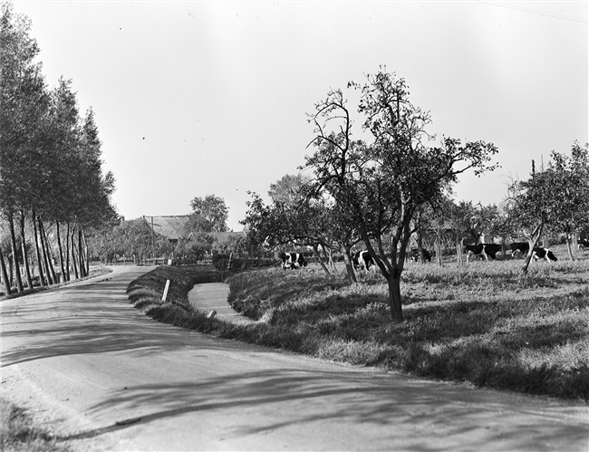 De Graafstroom tussen Oud-Alblas en Bleskensgraaf, 1948