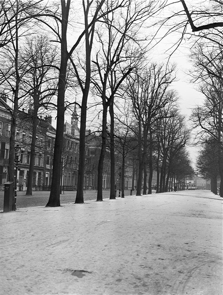 Het Lange Voorhout