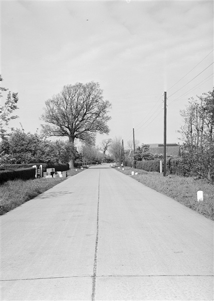 De Boomweg, provinciale weg tussen Rockanje en Oostvoorne.