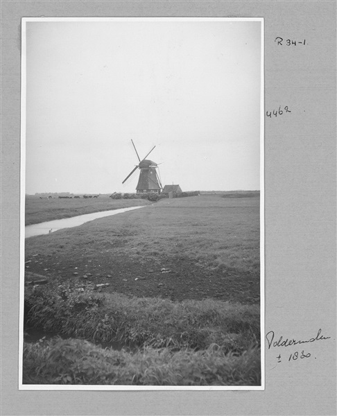 Waterloosmolen aan de Achterdijk in Rijpwetering, 1947