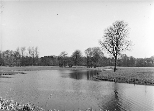 Waterpartij van landgoed Voorlinden