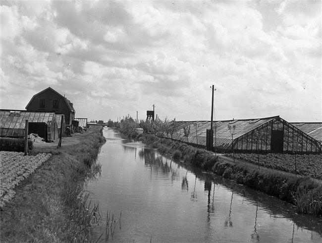 Kassengebied in de omgeving van Poeldijk