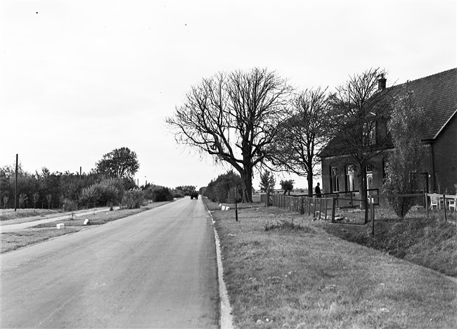 De Galgeweg in Naaldwijk, 1948