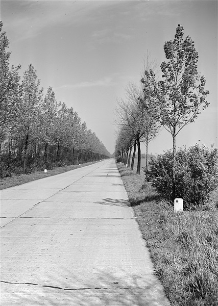 De Middelweg, provinciale weg nr. 17