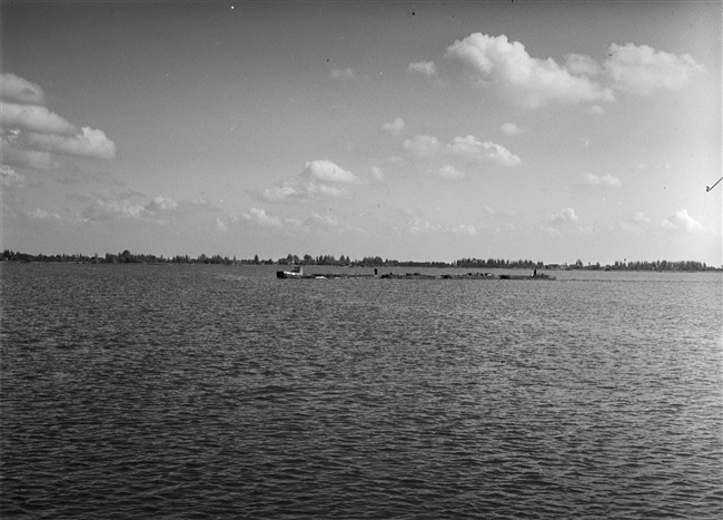 Rondvaart over de Nieuwkoopse Plassen, 1956