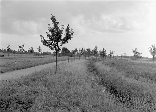 Weg in de buurt van Leerdam