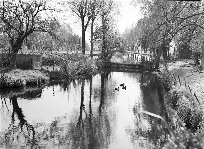 Landschap in de omgeving van de Reeuwijkse Plassen.