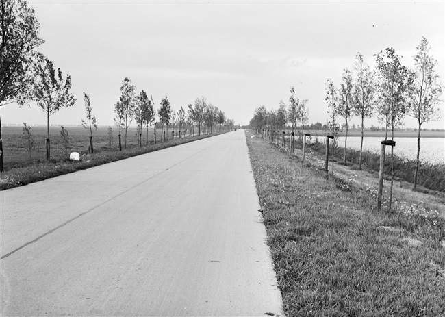 Strijensedijk, een betonweg tussen Strijen en 's-Gravendeel