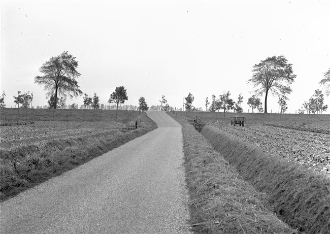 Klein Zuidbeijerlandse weg