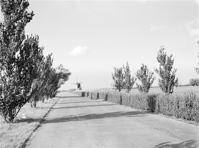 Provincialeweg/N217 met Oostmolen bij Maasdam, 1949