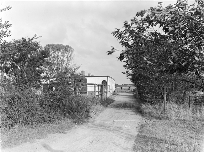 Manege in de buurt van Clingendael