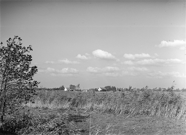 Landschap in de omgeving van de Reeuwijkse Plassen.