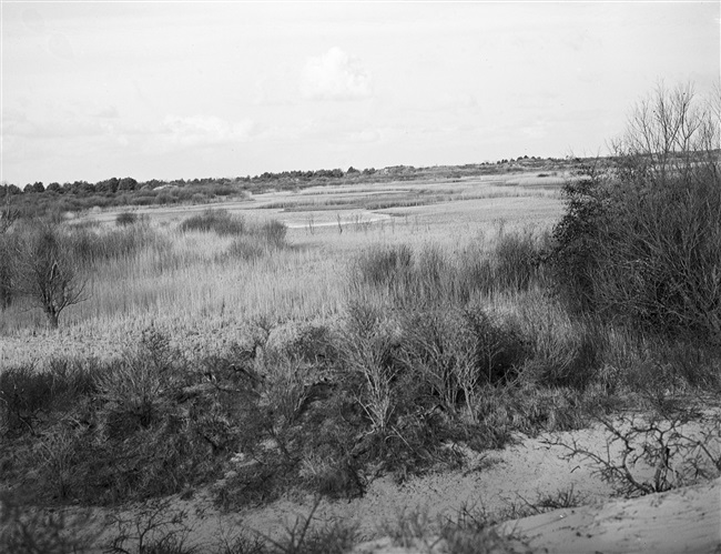 Het duinmeer Breede Water in het duingebied van Voornes Duin.