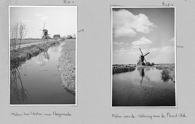 Molen de Heerlijkheid in Hoogmade, 1947