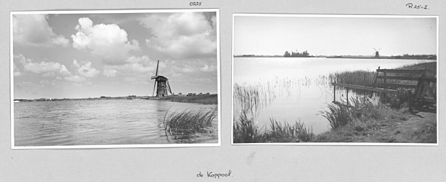 De Koppoel bij Rijpwetering, 1947