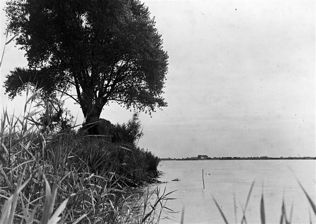 Uitzicht over de Oude Maas bij Hoogvliet, 1946