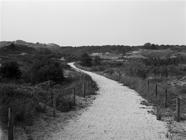 Een wandelpad door de duinen van Meijendel