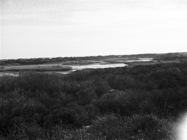 Het duinmeer Breede Water in het duingebied van Voornes Duin.