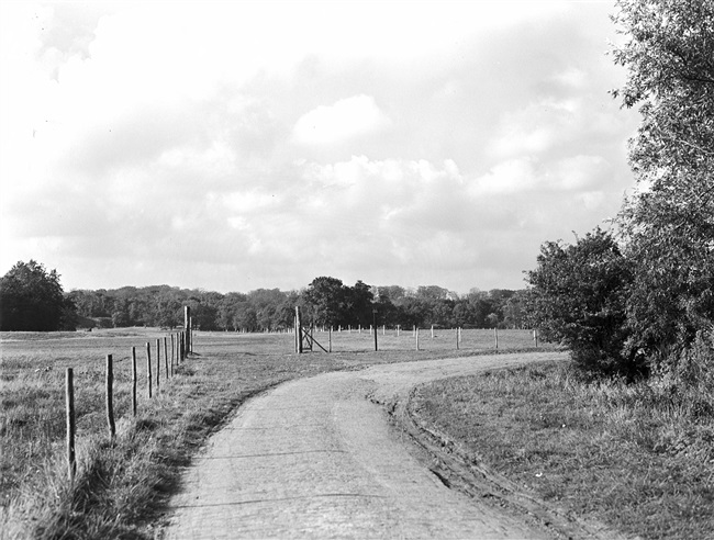 Omgeving bij Clingendael in Wassenaar, 1948