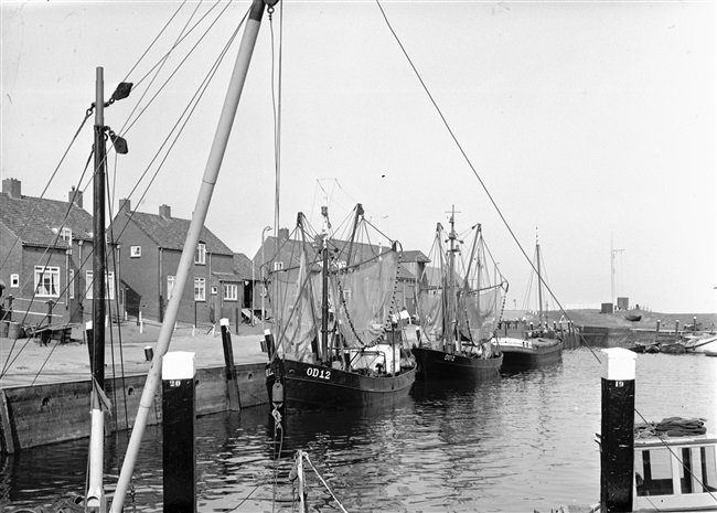 De haven van Ouddorp met vissersboten, 1964