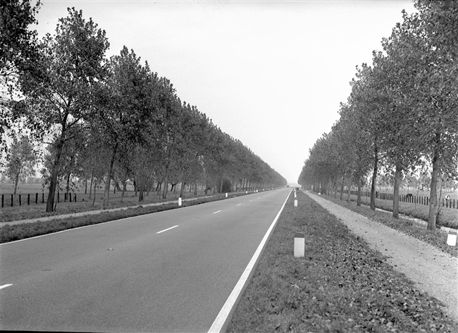 Provinciale weg nr. 36 (huidige N214) tussen Papendrecht en Meerkerk