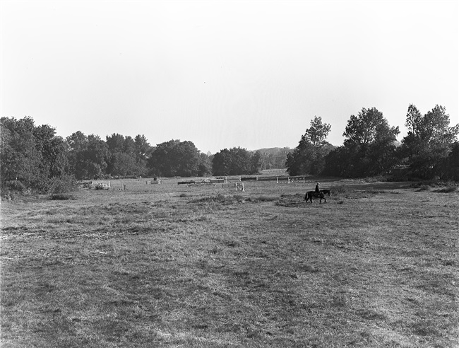 Ruitersport in de buurt van Clingendael