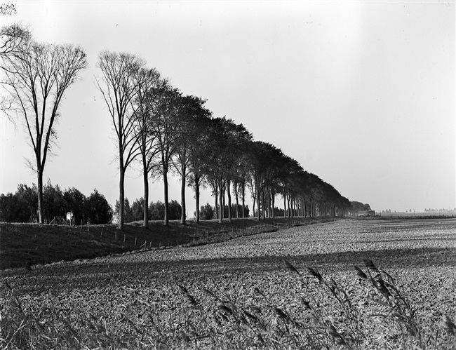 De Molenpolderse Zeedijk