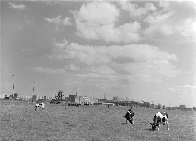 De voorstad groeit op de grens Wateringen-Den Haag.