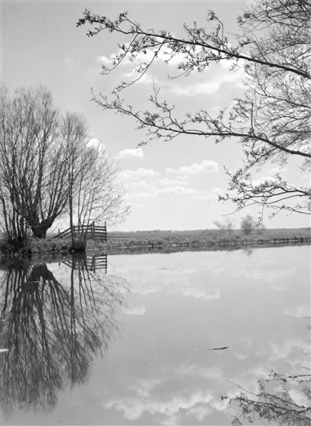 Landschap in de buurt van Weipoort bij Zoeterwoude.