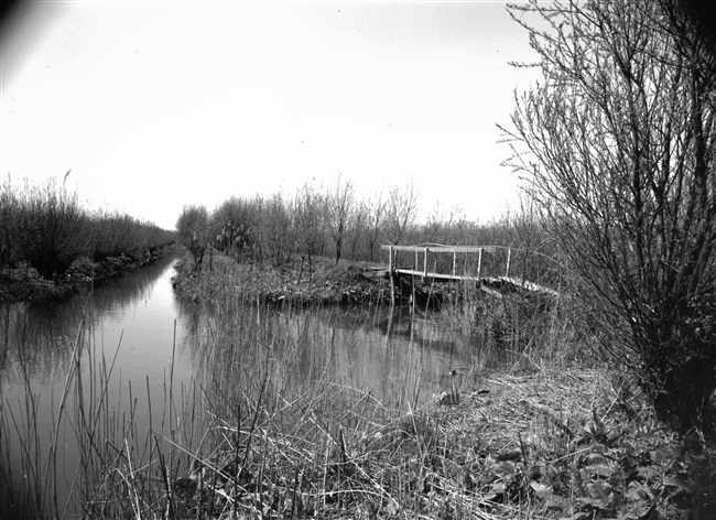 Wandelpad door de Rhoonse Grienden aan de Oude Maas