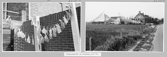 Scharren en visnetten in Ouddorp, 1972